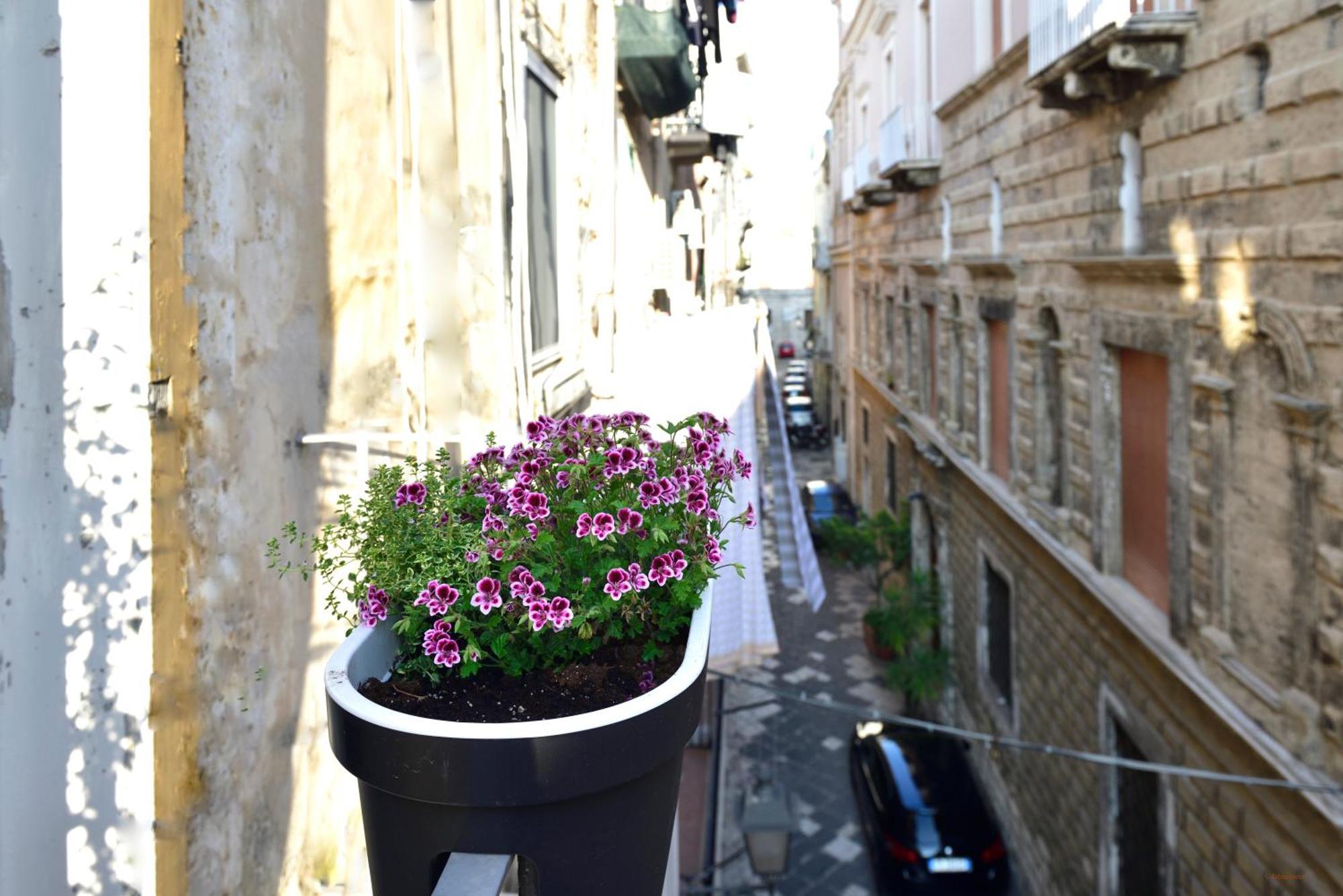Ciaobari Apartment - Elegant 4 Bedrooms In The Heart Of Old Town Екстериор снимка